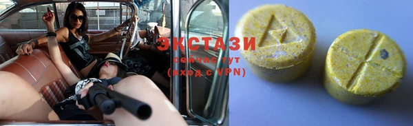 тгк Пересвет