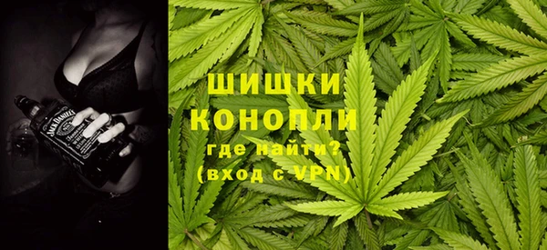 тгк Пересвет