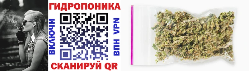 Каннабис OG Kush  Купить  Ялуторовск 